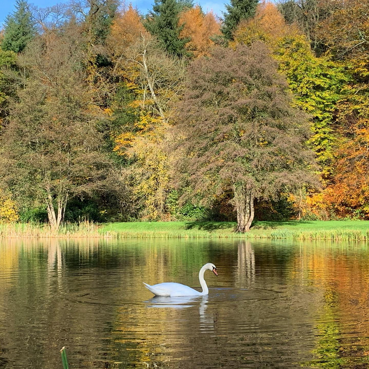 The Smokery lake